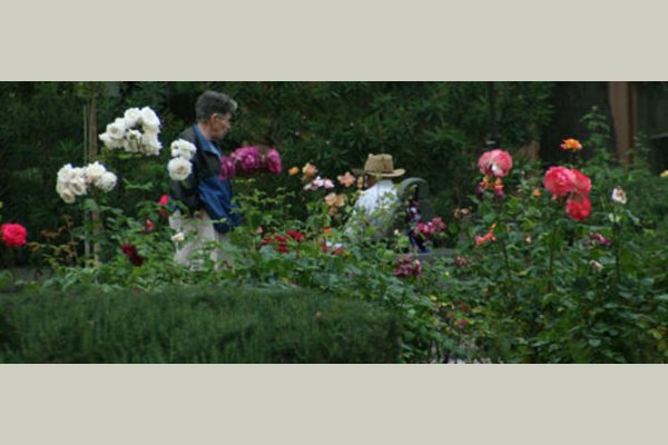 Palm Gardens Palm-Gardens-Woodland-Rose-Gardens