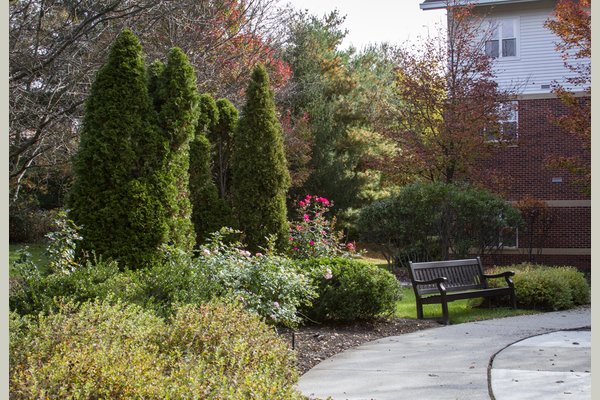 Brighton Gardens of Columbia 62017_BrightonGardensofColumbia_Columbia_MD_Garden