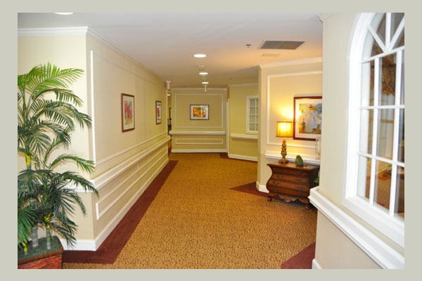 Emeritus at Northdale T9MN3L_still_s3