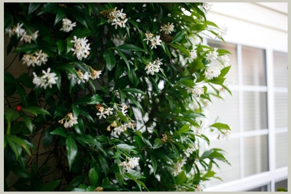 Prestige Senior Living Huntington Terrace IDV%202564