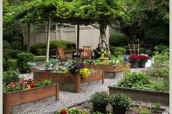 Sunrise of Bellevue 63190_SunriseofBellevue_Bellevue_WA_Garden2