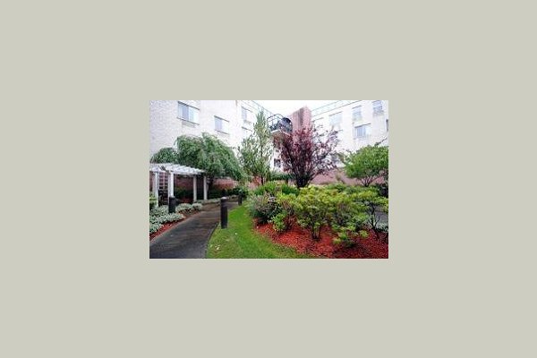 Sunrise at Sheepshead Bay 38073