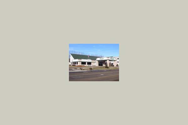 Evergreen Dickinson 32072