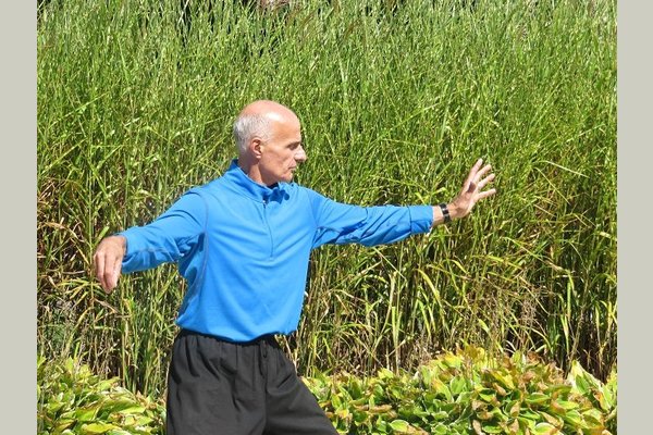 The Village at Duxbury and Allerton House 64842