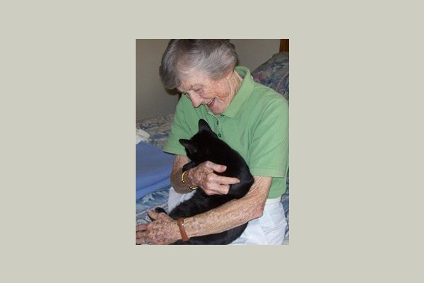 Savannah Court of Lakeland 41040