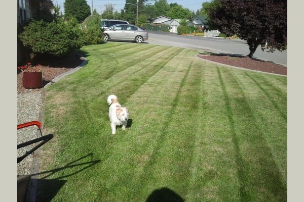 Valley Pines Retirement Home 84843