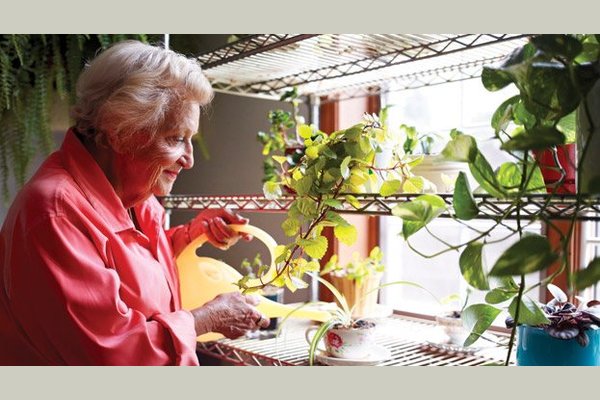 American House Charlevoix Senior Living 88694