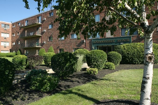 Loganberry Ridge 88042