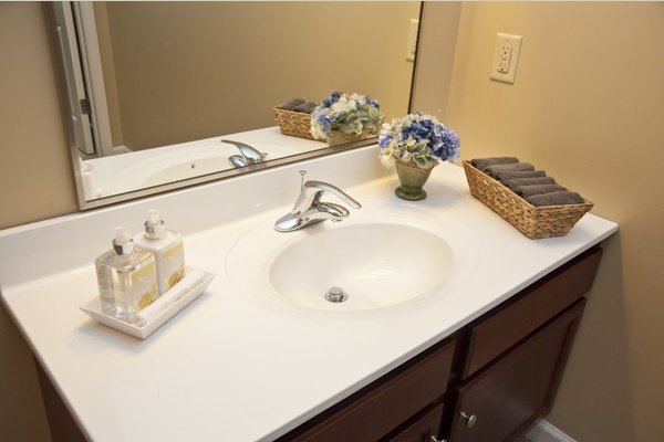 Armbrook Village 65912