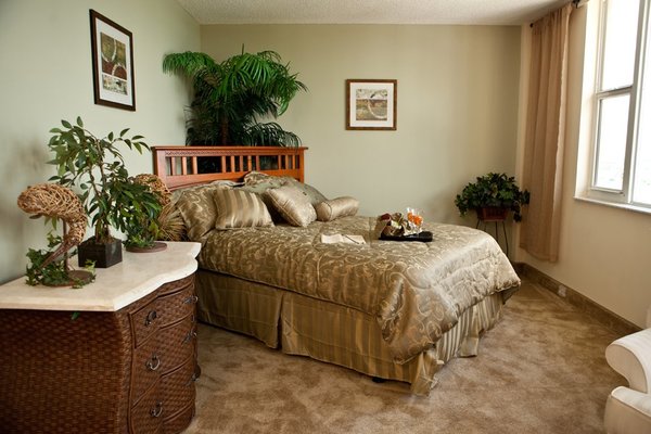 The Fountains At Boca Ciega Bay 86802