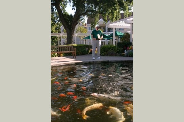 O'Connor Woods 87482