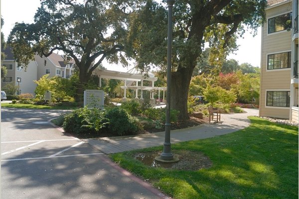 O'Connor Woods 87474