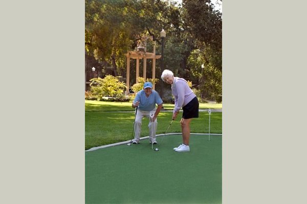 O'Connor Woods 87478