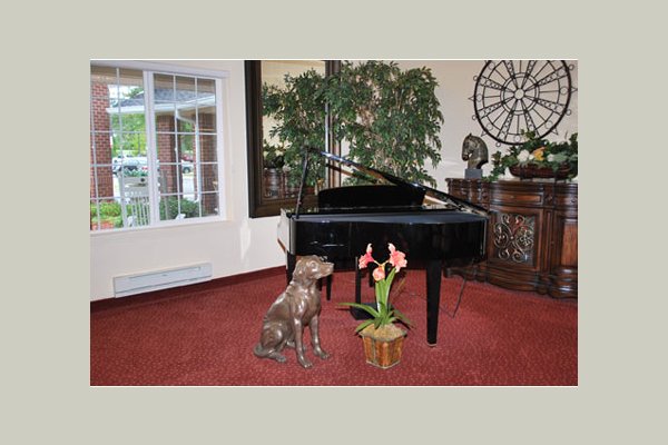 Dogwood Terrace 5311_pg4