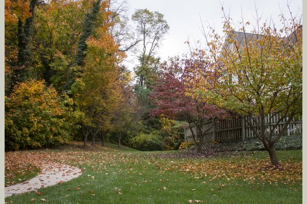 Sunrise of Pikesville Pikesville MD Reviews SeniorAdvisor