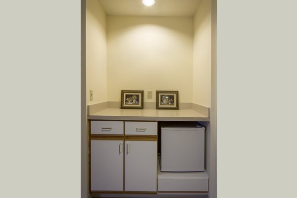 Brighton Gardens of Northville 62015_BrightonGardensofNorthville_Plymouth_MI_AptKitchen