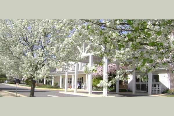 Washington Township Senior Living thumb_spring_trees_blossoming