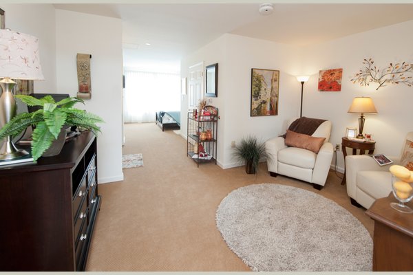 Sunrise At Ivey Ridge 63142_IR_Model-Living-Room