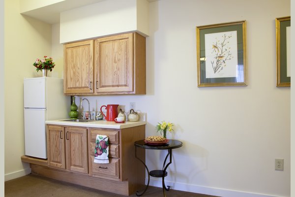 Sunrise at Webb Gin 63343_SunriseatWebbGin_Lawrenceville_GA_AptKitchen
