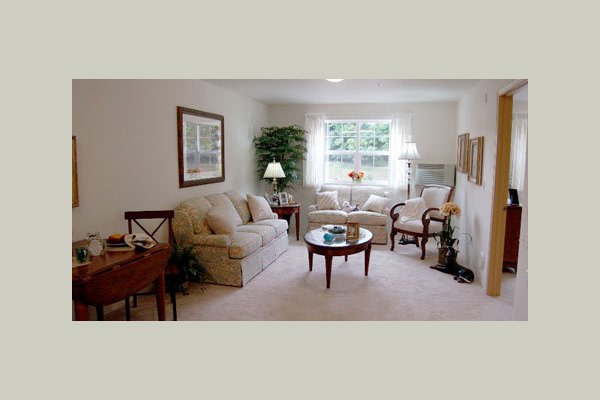 Carolina Estates living_room_with_window