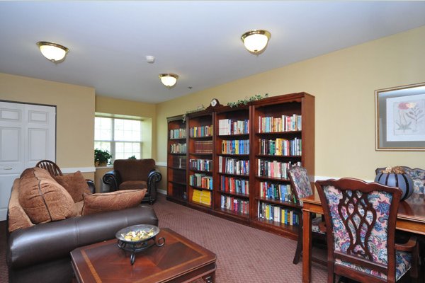 Beaver Falls Plaza Chippewa-Library