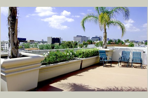 The Watermark at Beverly Hills BeverlyHillsWatermarkHome4