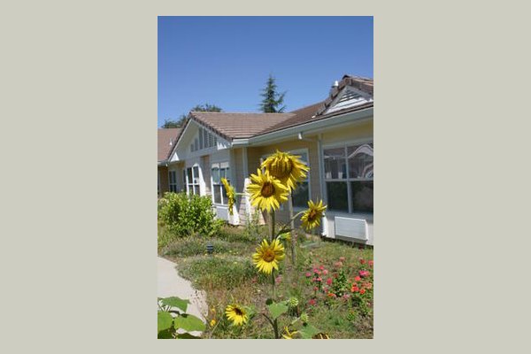Emeritus at Lassen House 36