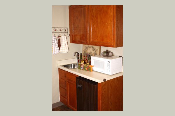 Emeritus at Amber Oaks MUAJTR_still_ap2