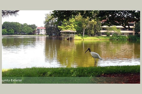 Waterside p