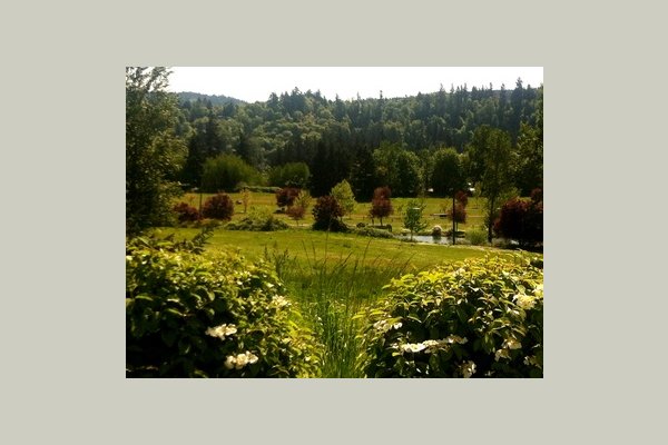 Somerset Lodge Somerset Backyard view