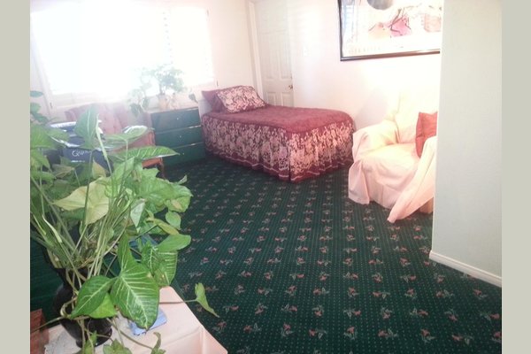 Carino's Quality Home Care, INC 100537