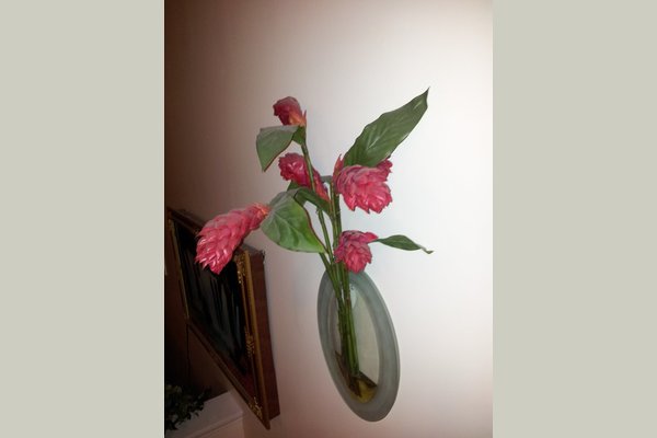 Comfort Personal Care Home 104745