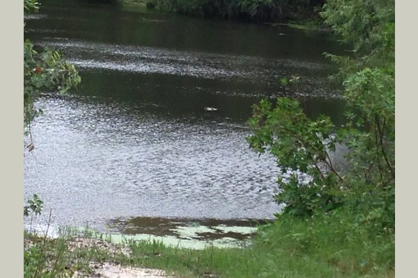 An Oasis of Hope, LLC 106341