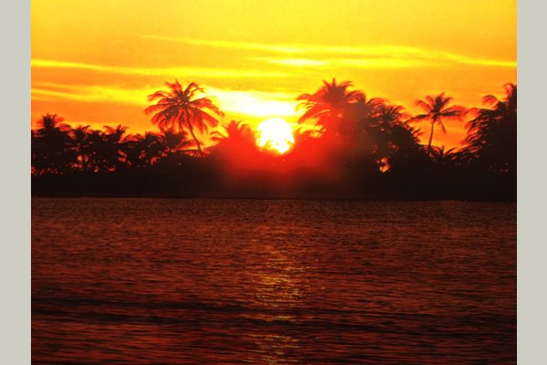 An Oasis of Hope, LLC 106273