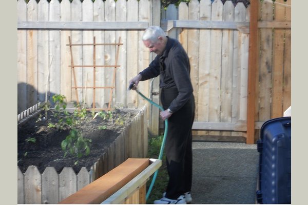 Young at Heart 100945