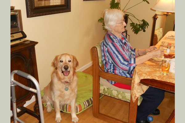 Young at Heart 100949