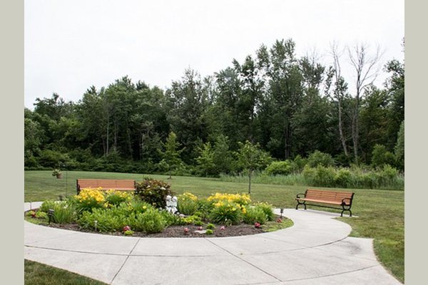 Lake Huron Woods 115387