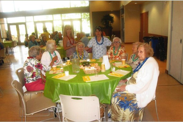 Comfort & Care For the Elderly 111653