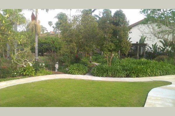Avocado Gardens 98264