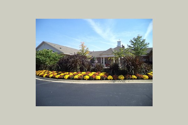 Autumn Leaves of Orland Park