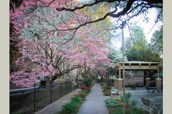 While located in the heart of Buckhead, the beauty of nature is just a step away.