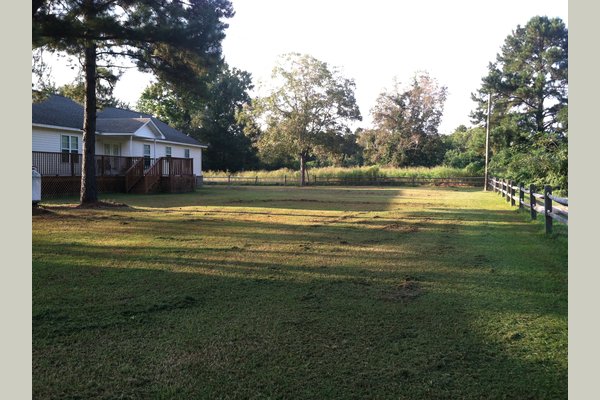 New Beginnings photo