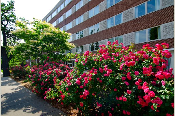 Augustana Care Center DSC_4498_2_6x9 (2)