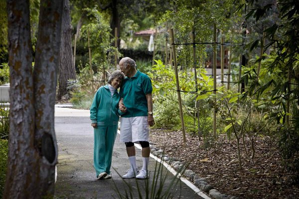 Westminster Gardens walking-path