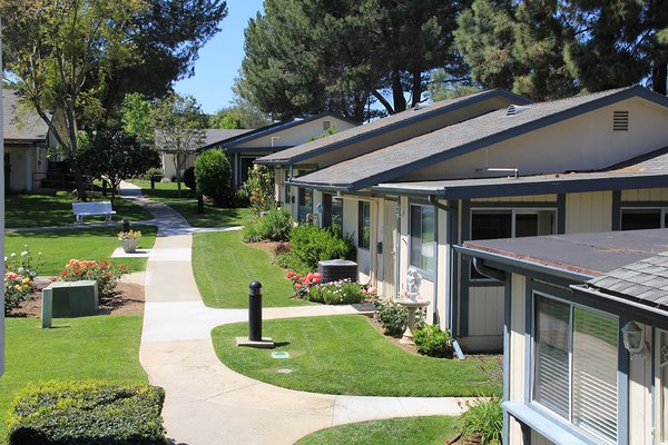 Redwood Terrace IMG_4141