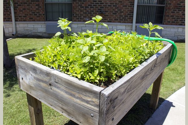 Legend Oaks Healthcare And Rehabilitation - Ennis - Garden