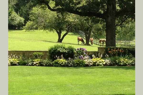 Gorgeous views.  Like being in the country. Right here on LI.
