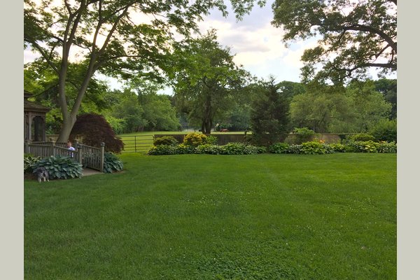 Another view of the front lawn