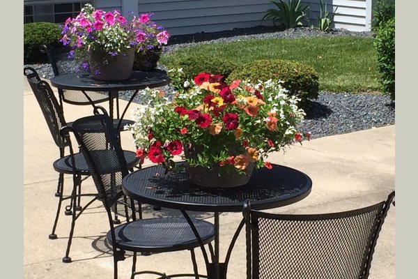Flower planting in the spring
