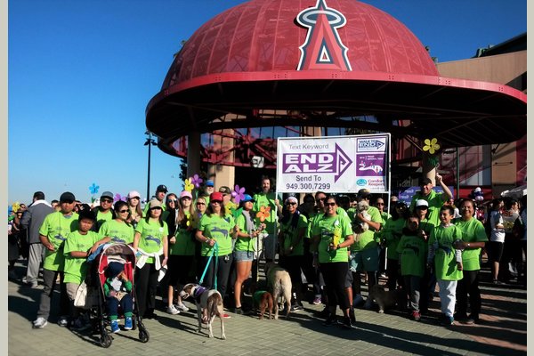 Comfort Keepers of Buena Park & Lakewood along with Comfort Keepers of Mission Viejo, Laguna Niguel & Anaheim actively participate and walk for a cause to help create awareness on how to End Alzheimer's disease.

Likewise, Comfort Keepers help to generate funds for the advancement of research for the Alzheimer's disease.

This walk is at the Angel Stadium Anaheim in Nov 14, 2015 which participated by more than 11,000 walkers of various community partners, individuals and other non-profit organizations.